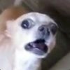 soggyboi